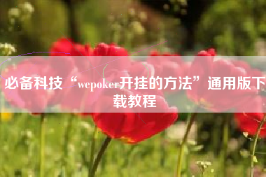 必备科技“wepoker开挂的方法”通用版下载教程