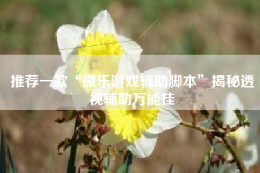 推荐一款“微乐游戏辅助脚本”揭秘透视辅助万能挂