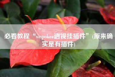 必看教程“wepoker透视挂插件	”(原来确实是有插件)