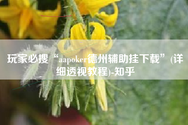玩家必搜“aapoker德州辅助挂下载	”(详细透视教程)-知乎