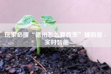 玩家必搜“德州怎么算胜率”辅助器 - 实时智能