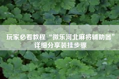 玩家必看教程“微乐河北麻将辅助器”详细分享装挂步骤