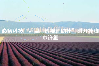 必备科技“wepoker透视辅助挂”附开挂脚本详细