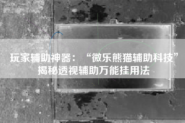 玩家辅助神器：“微乐熊猫辅助科技	”揭秘透视辅助万能挂用法