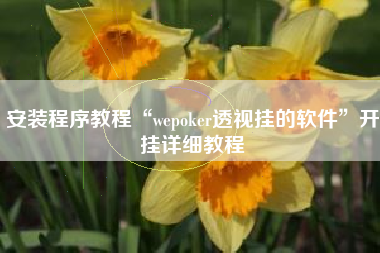 安装程序教程“wepoker透视挂的软件	”开挂详细教程