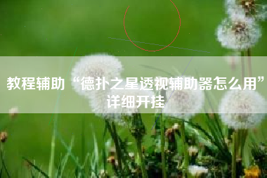 教程辅助“德扑之星透视辅助器怎么用”详细开挂