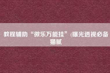 教程辅助“微乐万能挂	”(曝光透视必备猫腻