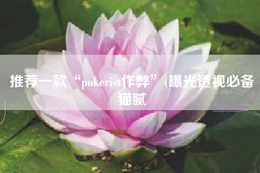 推荐一款“pokerist作弊”(曝光透视必备猫腻
