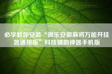 必学教你安装“微乐安徽麻将万能开挂器通用版	”科技辅助神器手机版