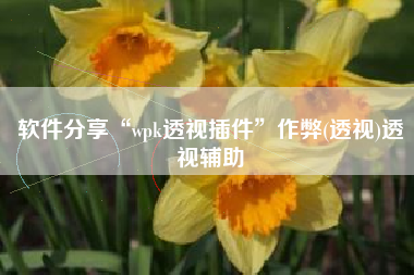 软件分享“wpk透视插件”作弊(透视)透视辅助