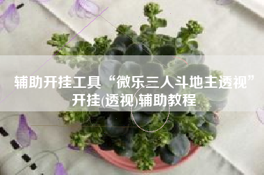 辅助开挂工具“微乐三人斗地主透视”开挂(透视)辅助教程
