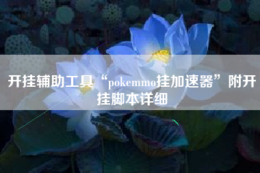 开挂辅助工具“pokemmo挂加速器”附开挂脚本详细