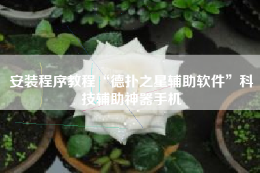 安装程序教程“德扑之星辅助软件	”科技辅助神器手机