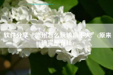 软件分享“德州怎么玩输赢不大”(原来确实是有挂)