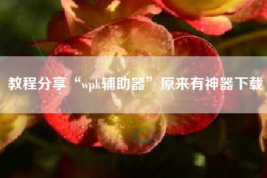 教程分享“wpk辅助器”原来有神器下载