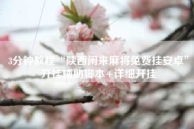 3分钟教程“陕西闲来麻将免费挂安卓”开挂辅助脚本+详细开挂