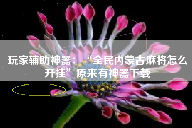 玩家辅助神器：“全民内蒙古麻将怎么开挂”原来有神器下载