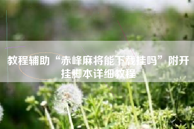 教程辅助“赤峰麻将能下载挂吗	”附开挂脚本详细教程