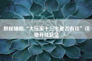 教程辅助“大玩家十三水是否有挂”详细开挂玩法