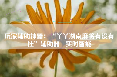 玩家辅助神器：“丫丫湖南麻将有没有挂”辅助器 - 实时智能