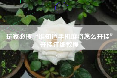 玩家必搜“谁知道手机麻将怎么开挂”开挂详细教程