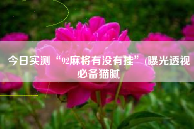 今日实测“92麻将有没有挂	”(曝光透视必备猫腻