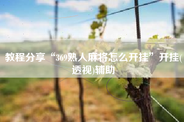 教程分享“369熟人麻将怎么开挂”开挂(透视)辅助