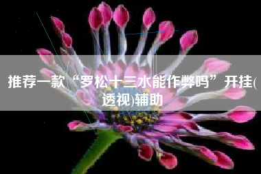 推荐一款“罗松十三水能作弊吗	”开挂(透视)辅助