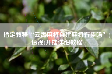 指定教程“云霄麻将自建麻将有挂吗”(透视)开挂详细教程