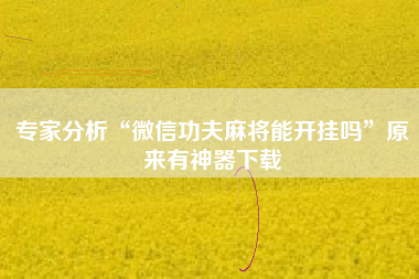 专家分析“微信功夫麻将能开挂吗”原来有神器下载