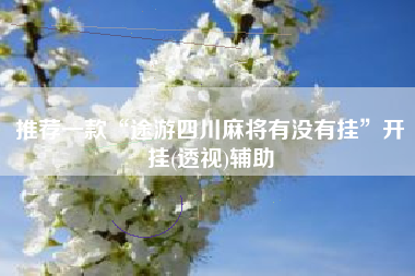 推荐一款“途游四川麻将有没有挂”开挂(透视)辅助