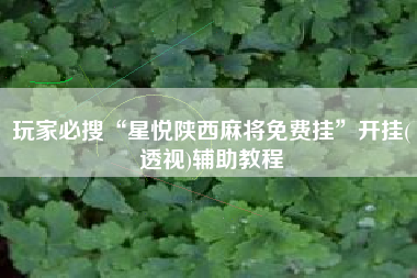 玩家必搜“星悦陕西麻将免费挂	”开挂(透视)辅助教程