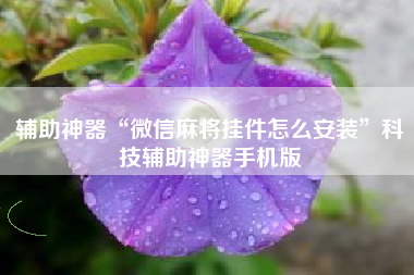 辅助神器“微信麻将挂件怎么安装”科技辅助神器手机版