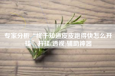 专家分析“终于知道皮皮跑得快怎么开挂”开挂(透视)辅助神器