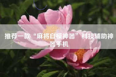 推荐一款“麻将自模神器”科技辅助神器手机