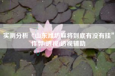 实测分析“山东潍坊麻将到底有没有挂”作弊(透视)透视辅助