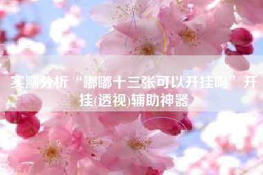 实测分析“嘟嘟十三张可以开挂吗”开挂(透视)辅助神器