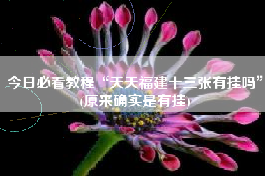 今日必看教程“天天福建十三张有挂吗	”(原来确实是有挂)