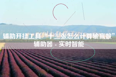 辅助开挂工具“十三张怎么计算输赢数”辅助器 - 实时智能