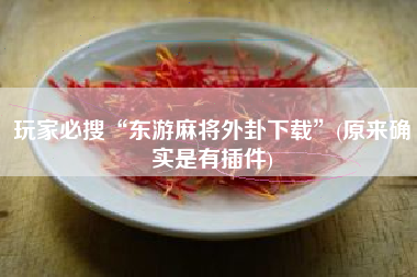 玩家必搜“东游麻将外卦下载”(原来确实是有插件)