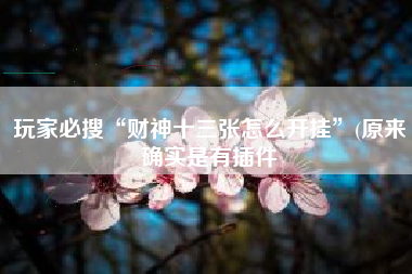 玩家必搜“财神十三张怎么开挂”(原来确实是有插件