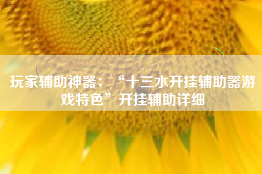 玩家辅助神器：“十三水开挂辅助器游戏特色”开挂辅助详细