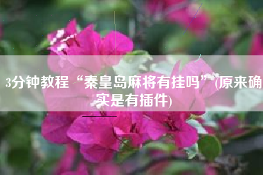 3分钟教程“秦皇岛麻将有挂吗”(原来确实是有插件)