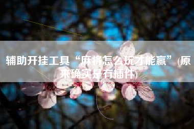 辅助开挂工具“麻将怎么玩才能赢”(原来确实是有插件)