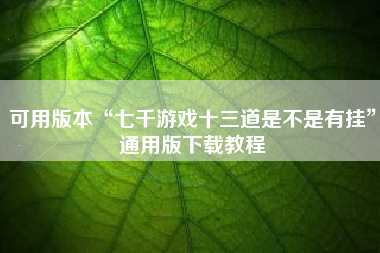可用版本“七千游戏十三道是不是有挂”通用版下载教程