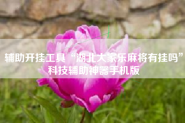 辅助开挂工具“湖北大家乐麻将有挂吗”科技辅助神器手机版