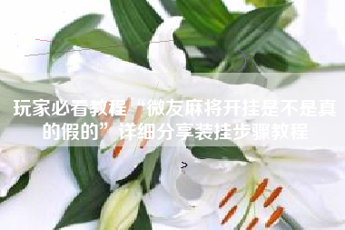 玩家必看教程“微友麻将开挂是不是真的假的”详细分享装挂步骤教程