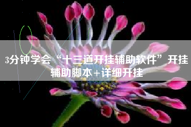 3分钟学会“十三道开挂辅助软件”开挂辅助脚本+详细开挂