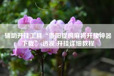 辅助开挂工具“贵阳捉鸡麻将开挂神器下载	”(透视)开挂详细教程