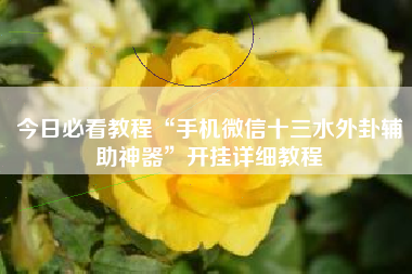 今日必看教程“手机微信十三水外卦辅助神器	”开挂详细教程